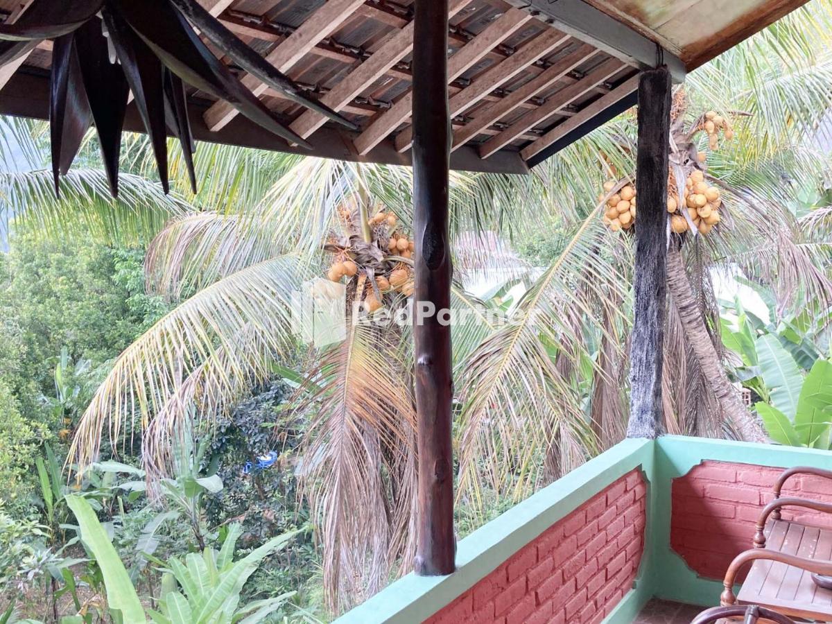 Taman Ayu Homestay Munduk Mitra Reddoorz Dış mekan fotoğraf