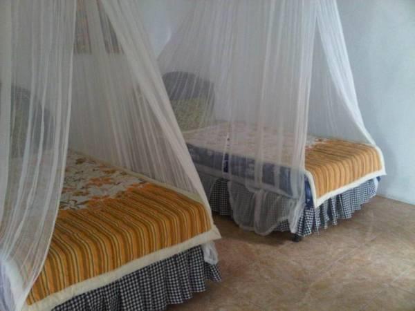 Taman Ayu Homestay Munduk Mitra Reddoorz Dış mekan fotoğraf